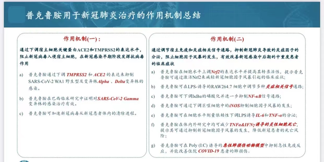 新澳门一肖中100%期期准,|精选资料解析大全