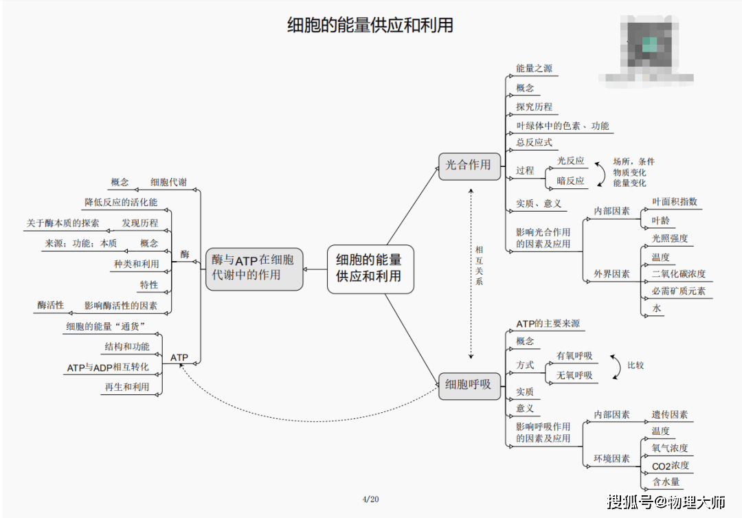 三肖三期必出特马,|精选资料解析大全