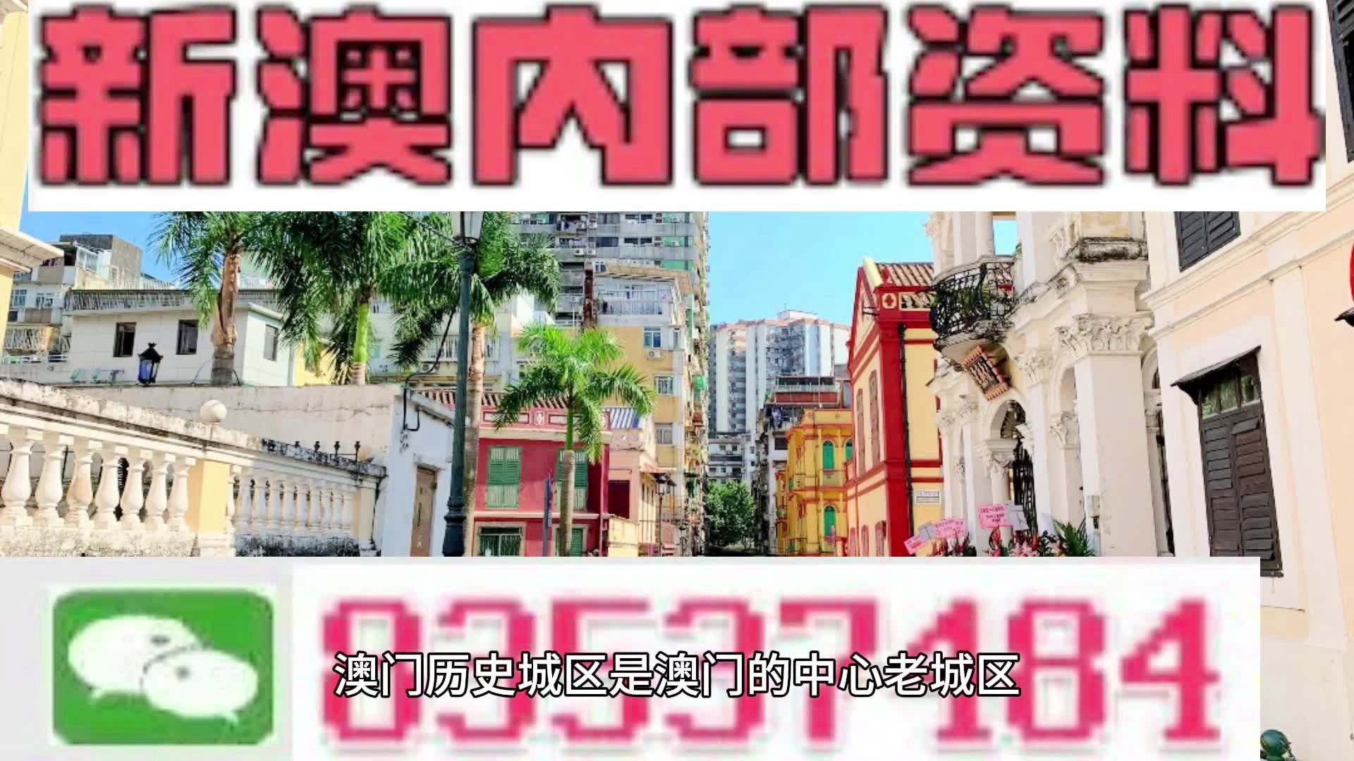 新澳门内部精准二肖,|精选资料解析大全